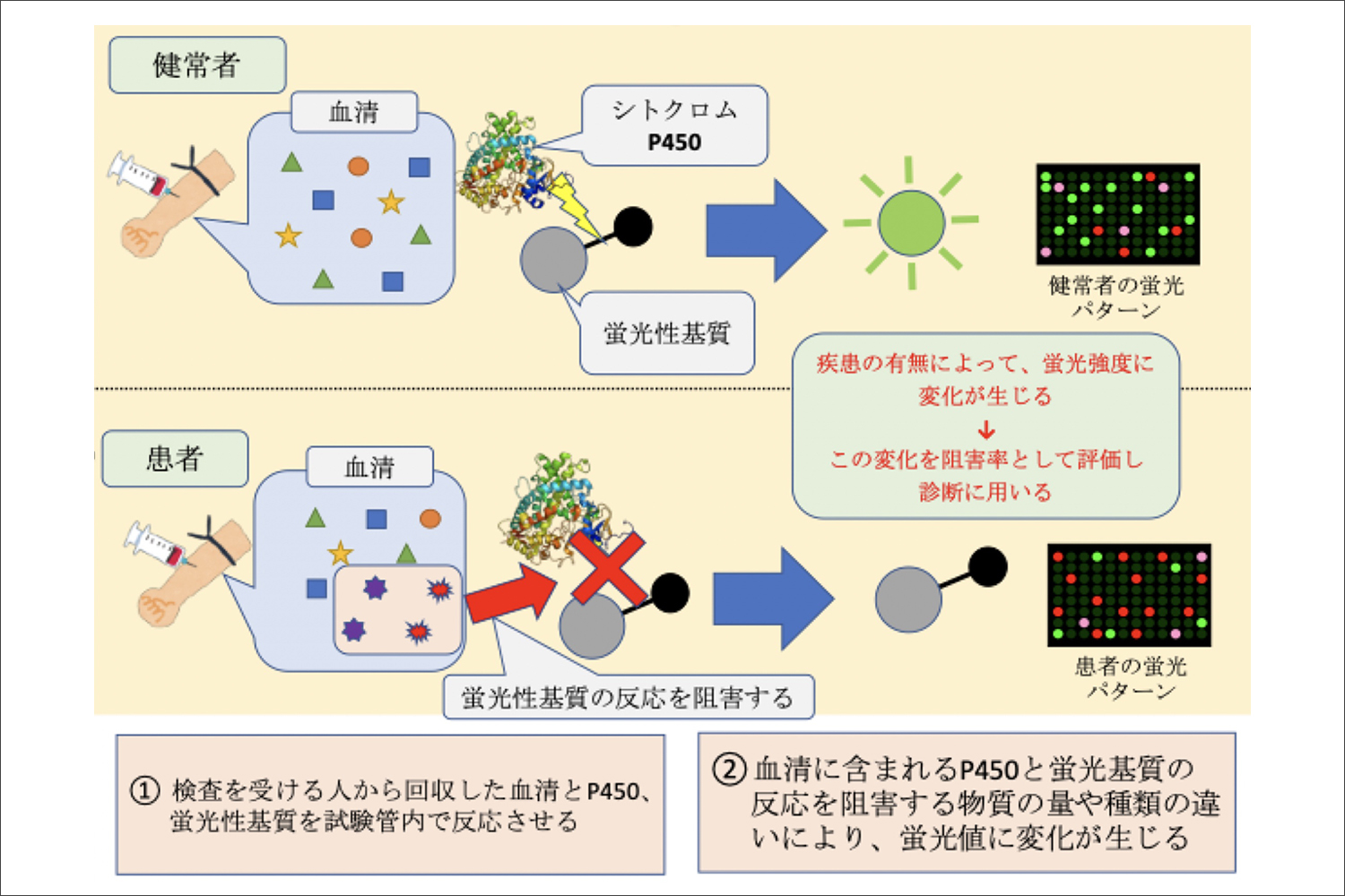 革新的な疾患評価用バイオマーカーの開発